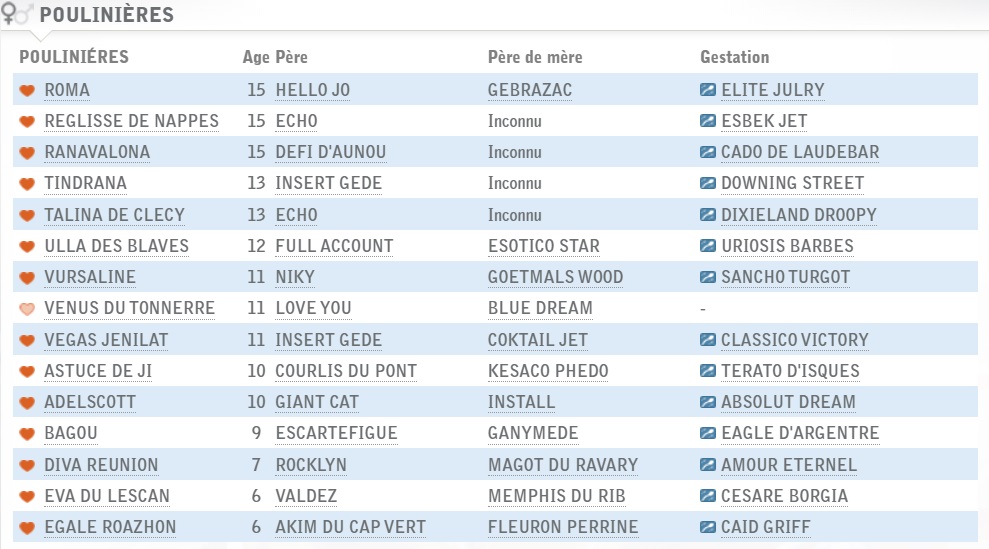 Elevage 2020 - Stables FC.jpg