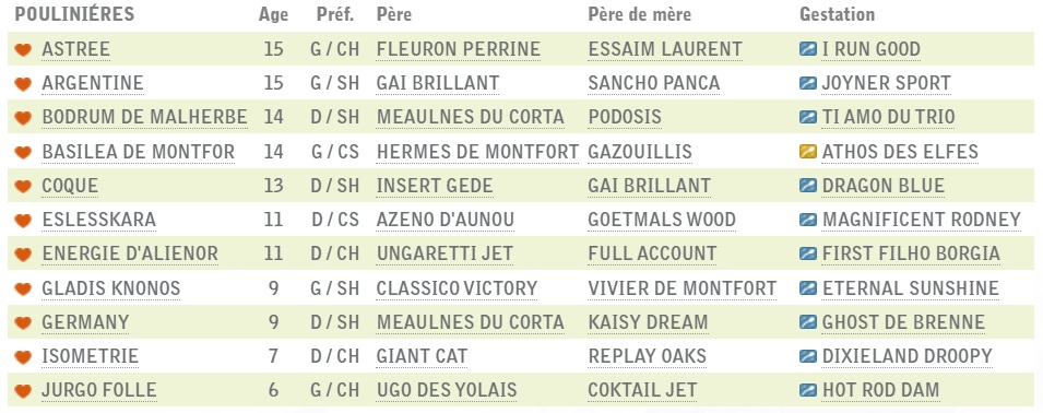 Croisements 2025 - FC.jpg