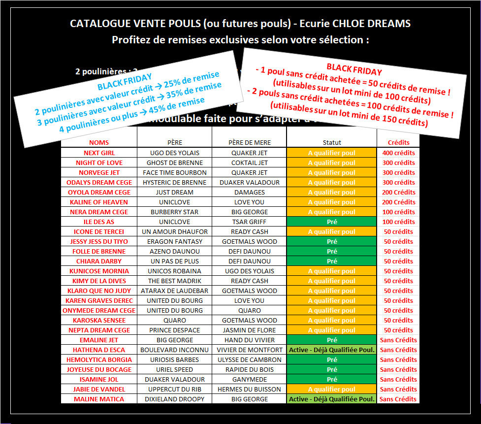 CATALOGUE VENTES 21-11-25 BLACK FRIDAY.png