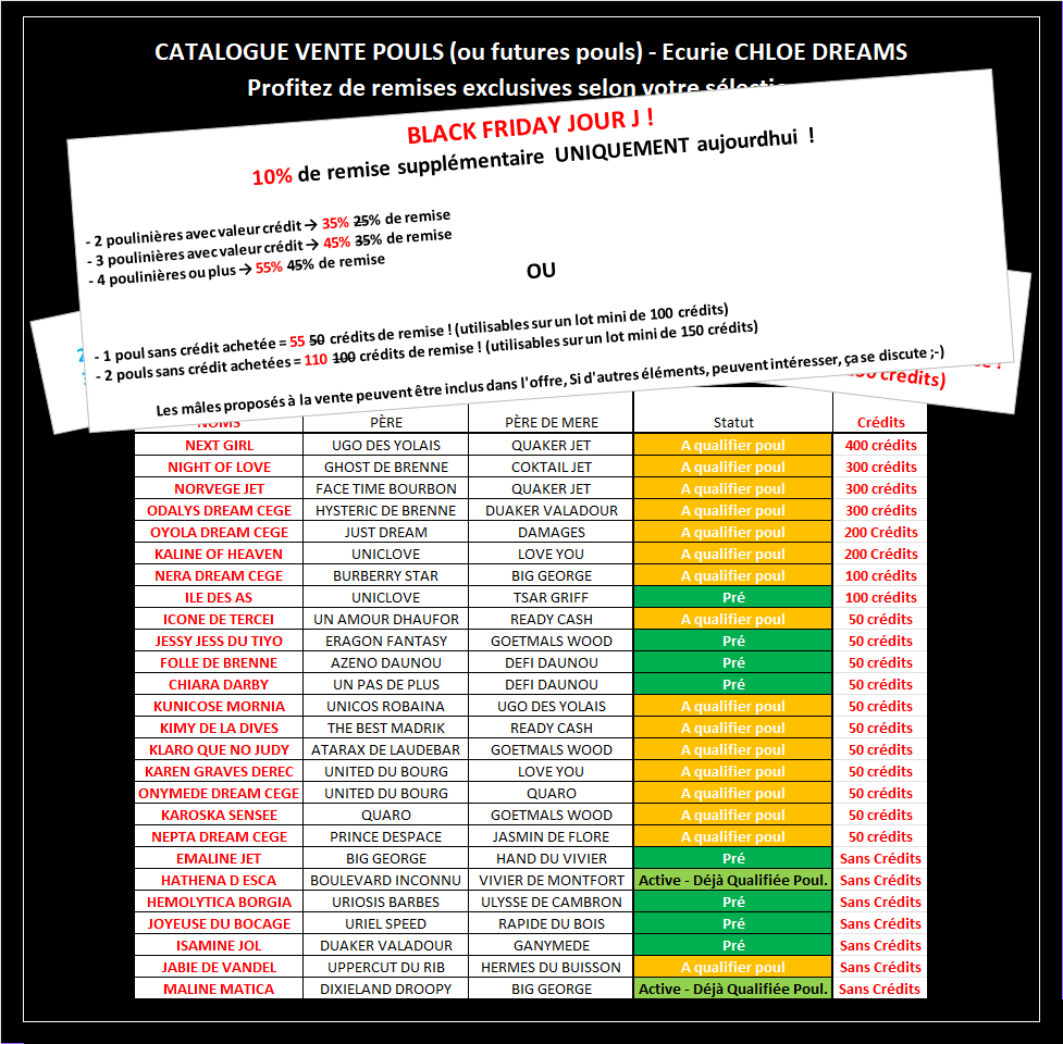 CATALOGUE VENTES 28-11-25 BLACK FRIDAY.png